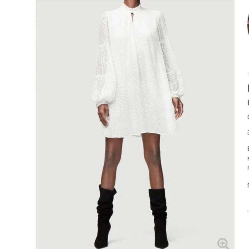 FRAME Metallic Dot Sheer Ruffle Long Sleeve graduation day time autumn wedding